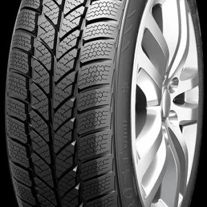 RoadX 165/70R14 T WH01 RXFrost