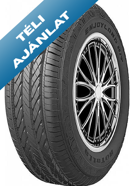 Rotalla 195/55R16 V S130 XL